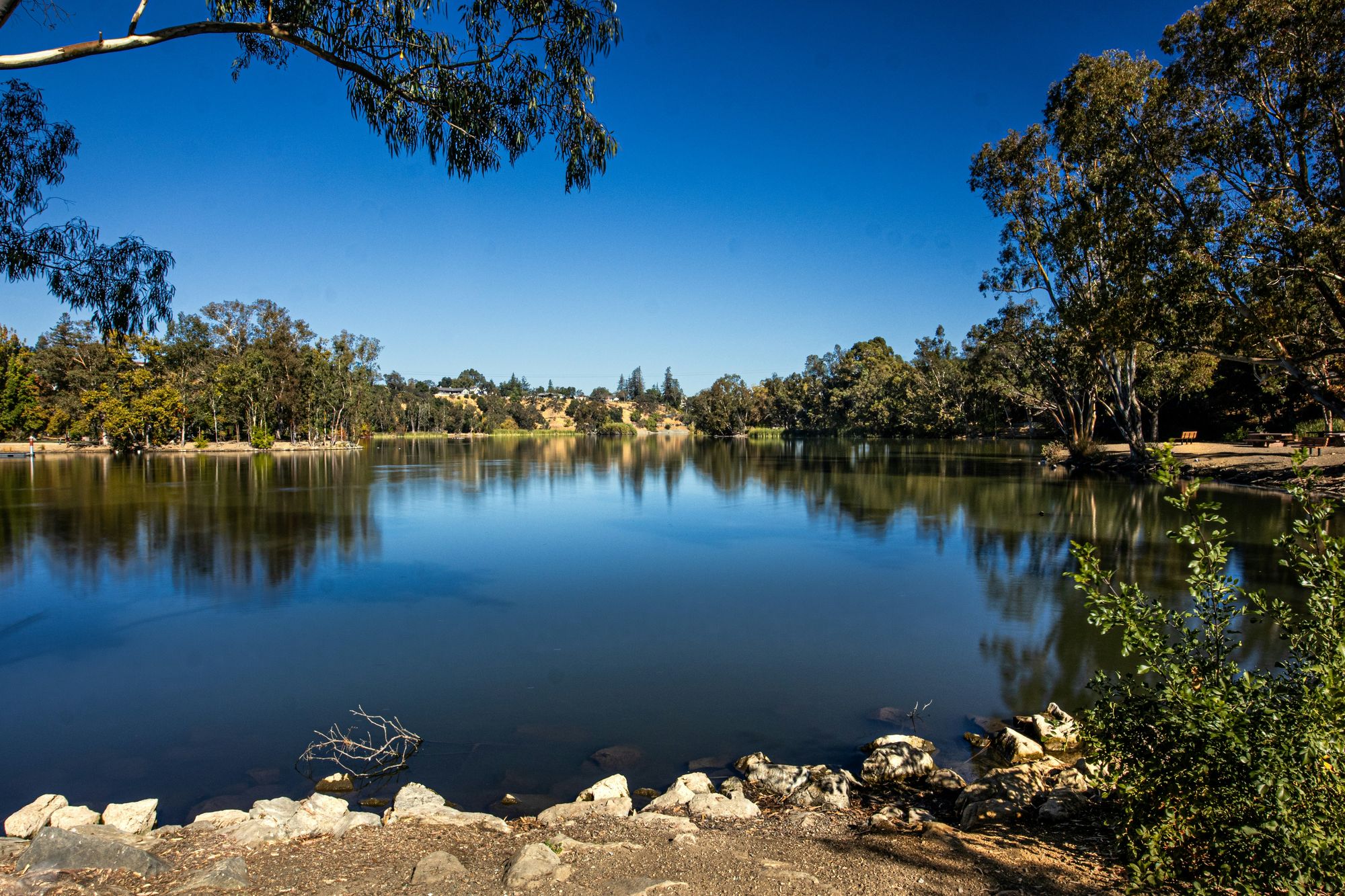 Sauna Builder in Los Gatos, CA