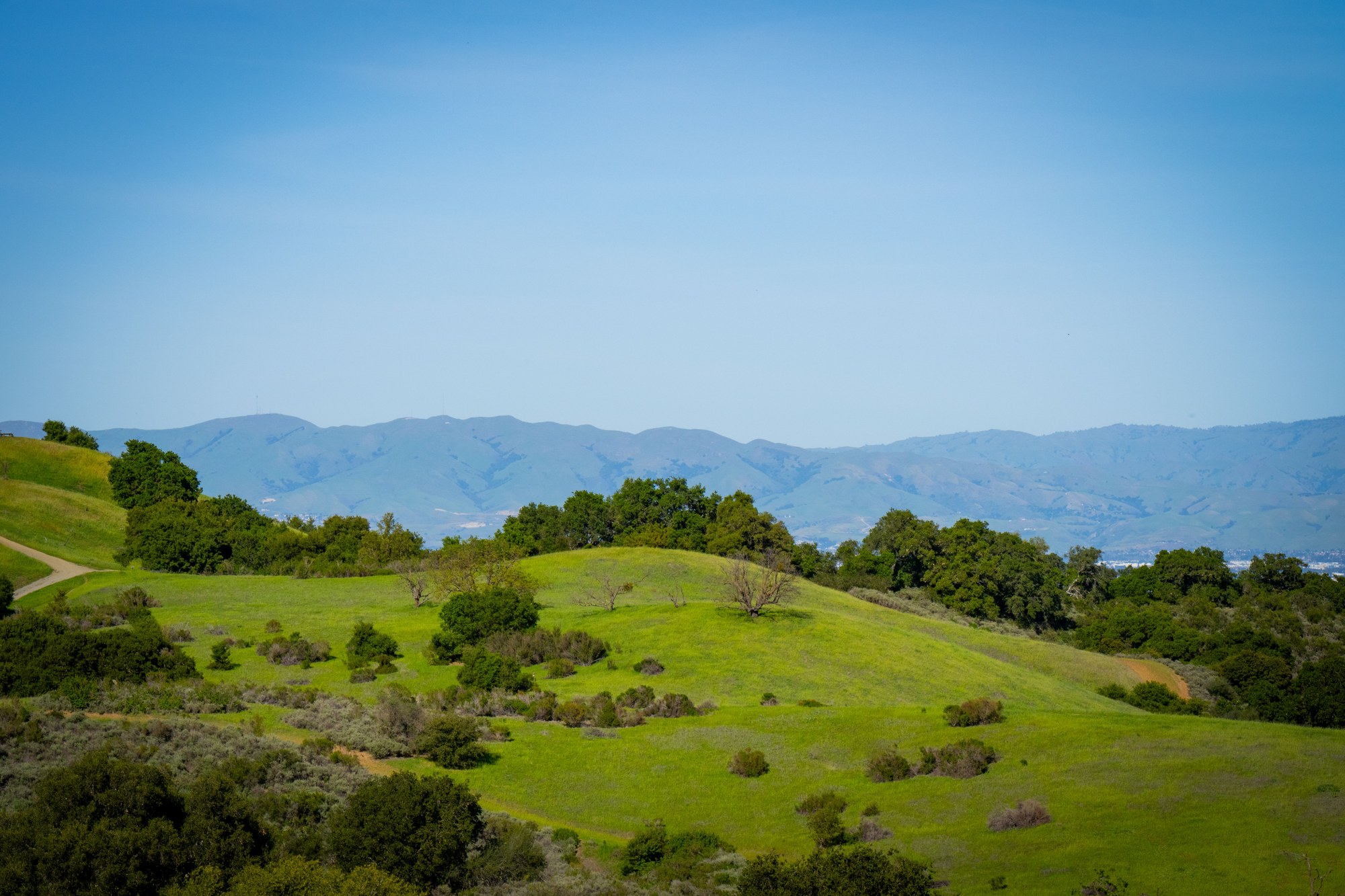 Sauna Builder in Saratoga, CA